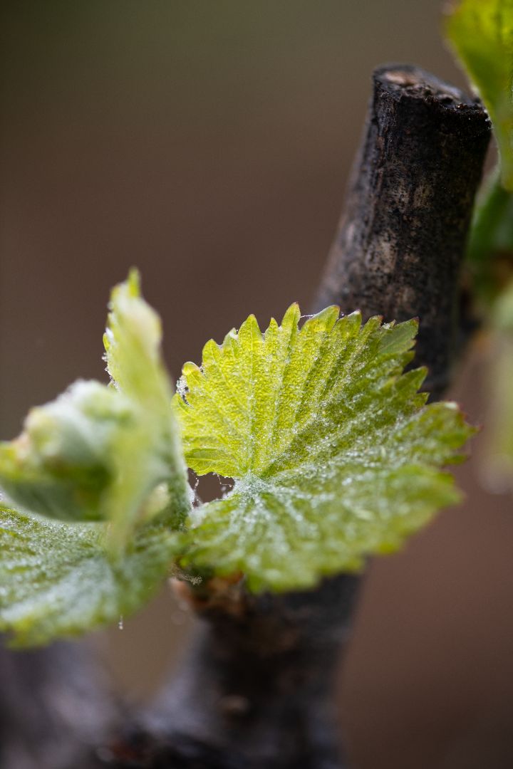 What Skin Care Routine to Follow this Winter ?