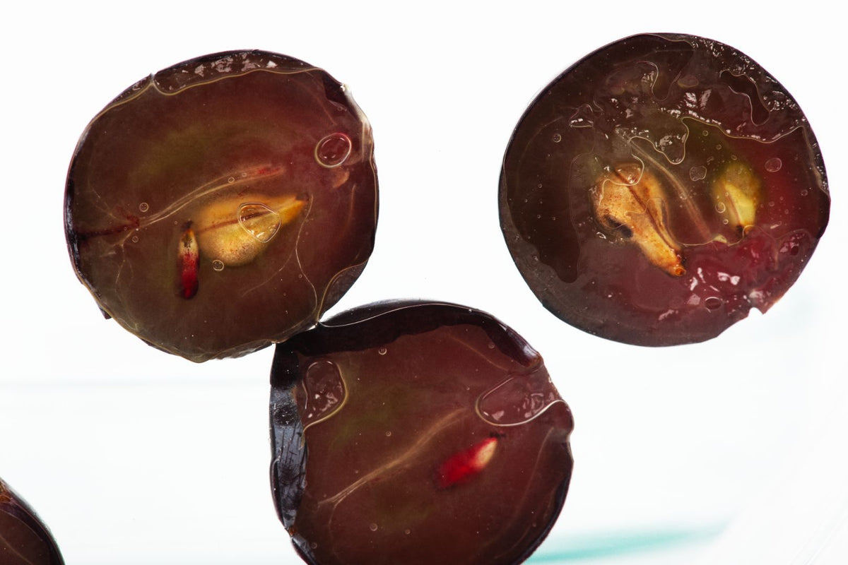 Vine polyphenols: natural allies to preserve youthful skin