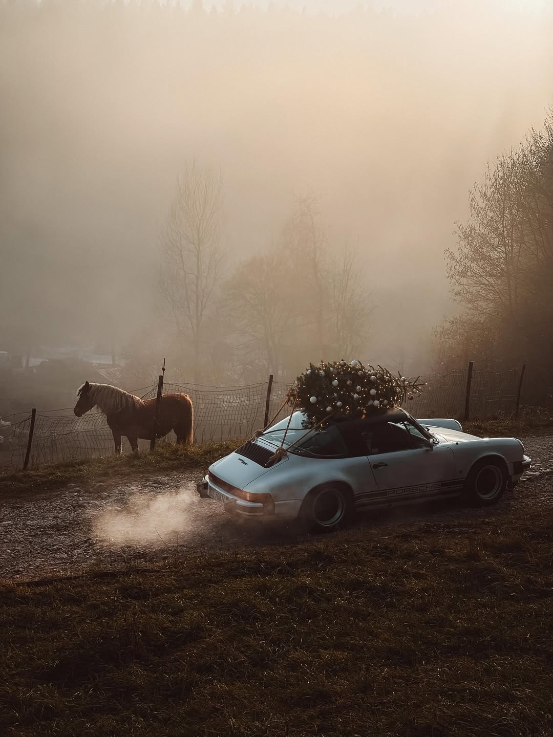 Beau Domaine by Brad Pitt & Famille Perrin