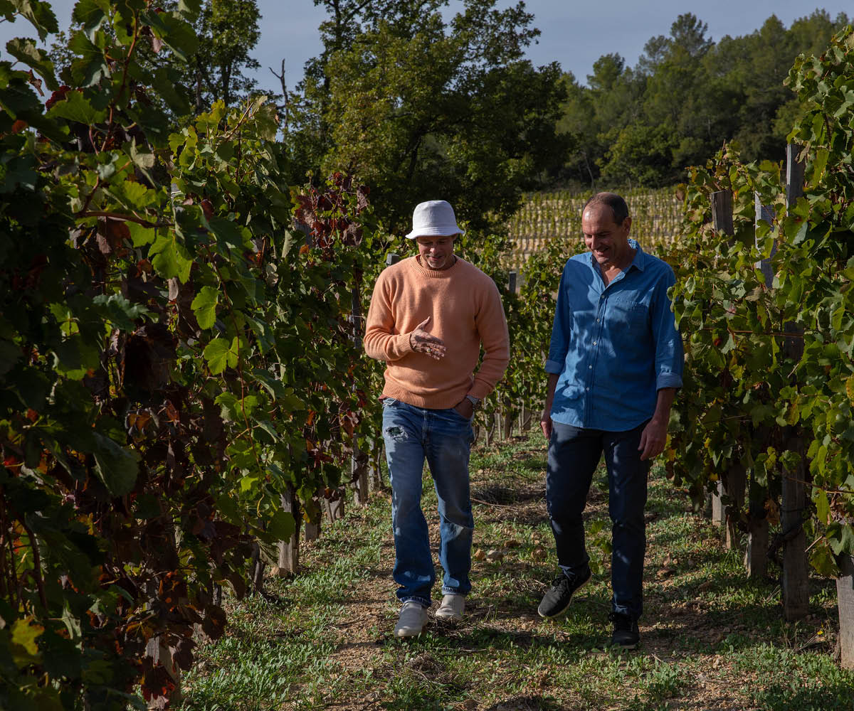 Beau Domaine by Brad Pitt & Famille Perrin