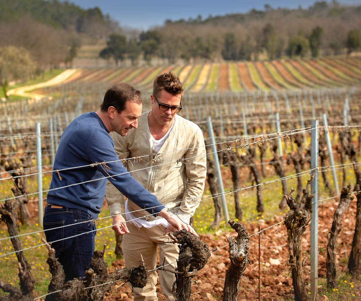 Beau Domaine by Brad Pitt & Famille Perrin