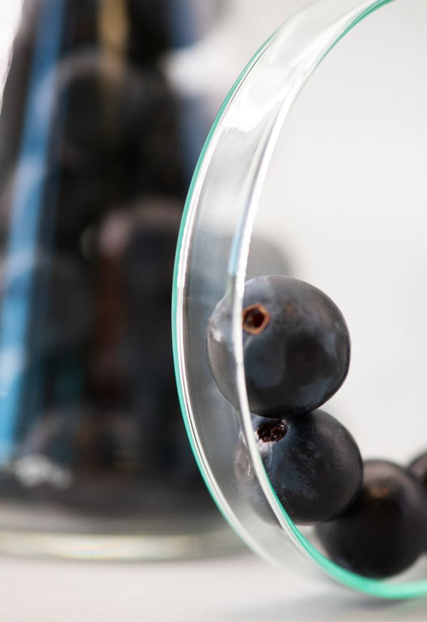 Beau Domaine by Brad Pitt & Famille Perrin