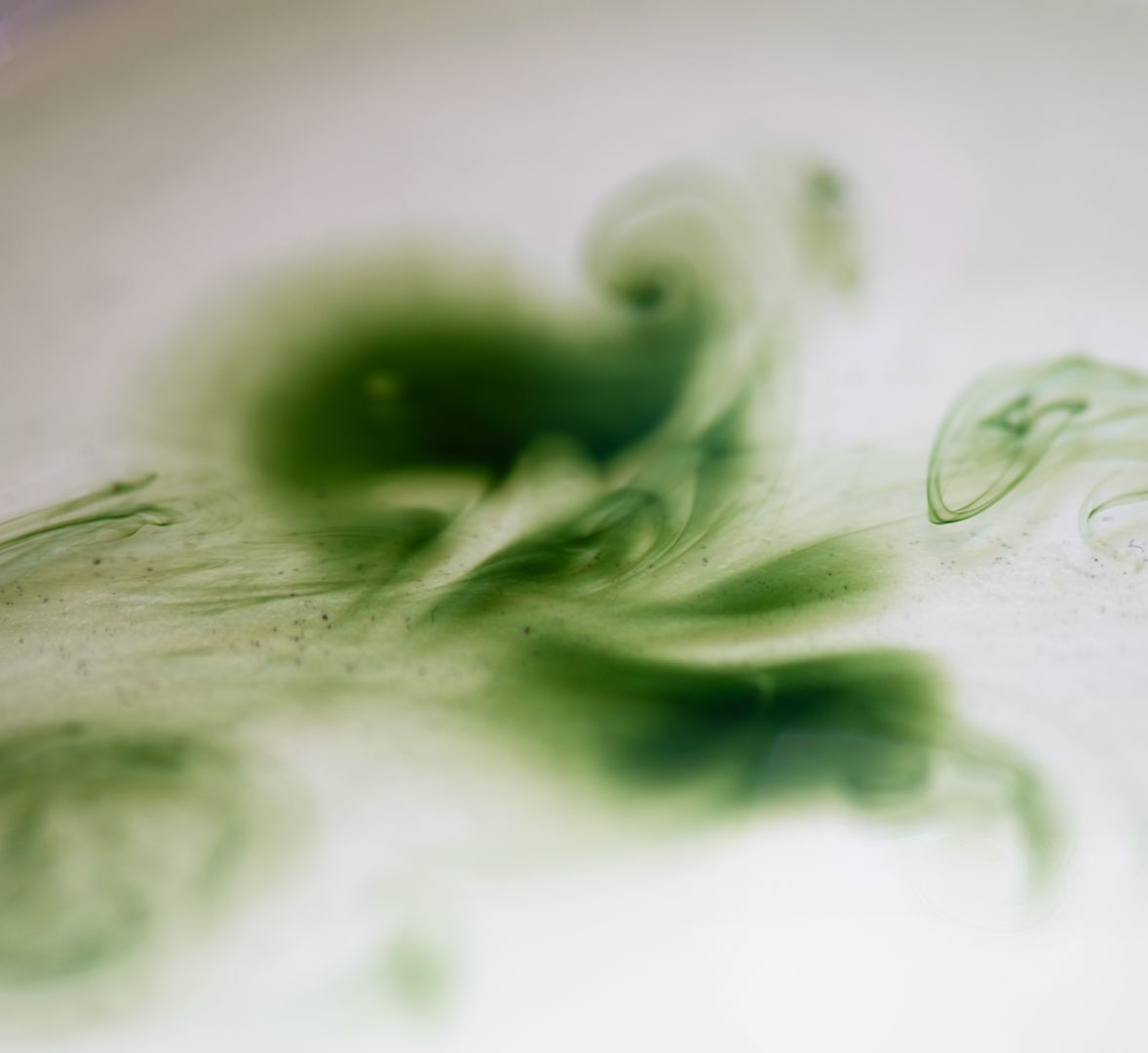 Beau Domaine by Brad Pitt & Famille Perrin