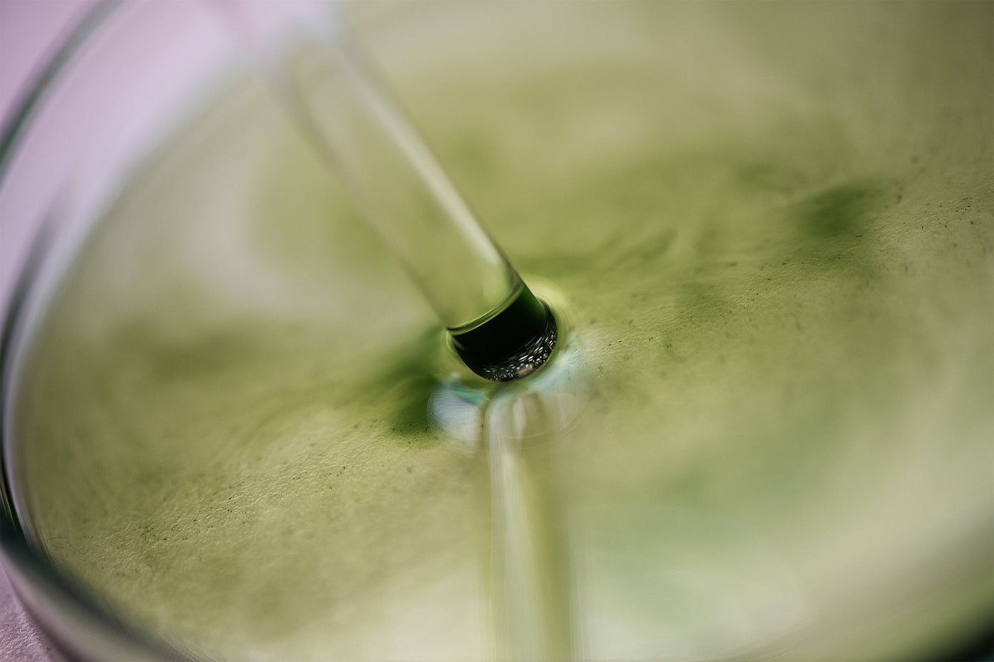 Beau Domaine by Brad Pitt & Famille Perrin