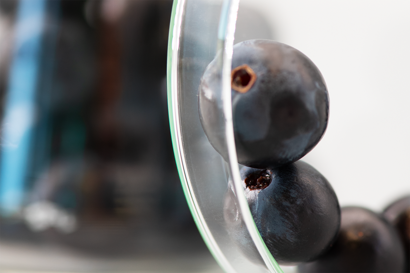 Beau Domaine by Brad Pitt & Famille Perrin