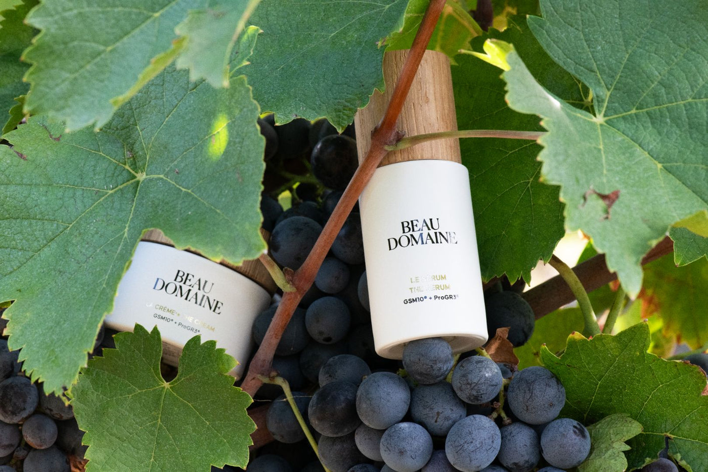 Beau Domaine by Brad Pitt & Famille Perrin