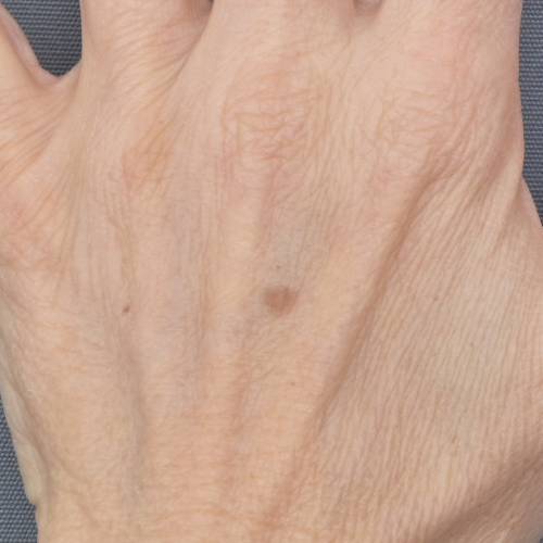 Beau Domaine by Brad Pitt & Famille Perrin