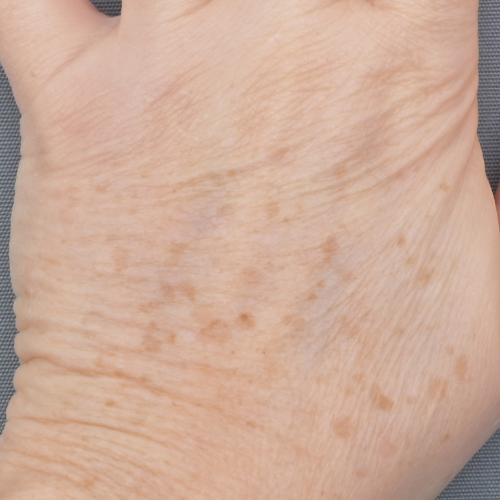 Beau Domaine by Brad Pitt & Famille Perrin