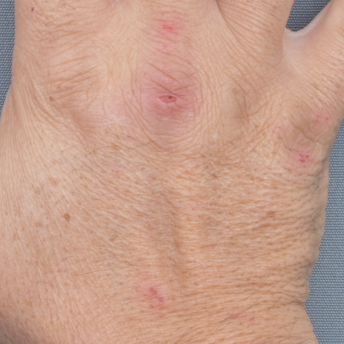 Beau Domaine by Brad Pitt & Famille Perrin