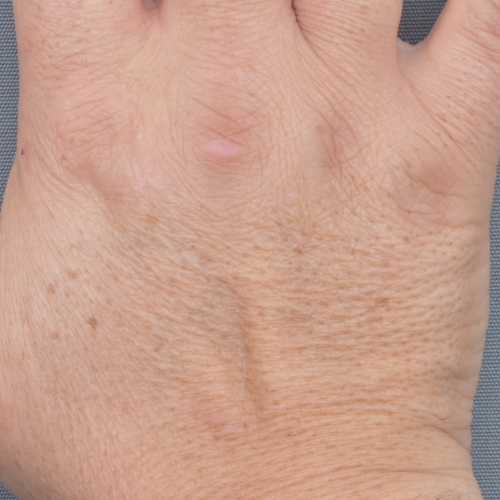 Beau Domaine by Brad Pitt & Famille Perrin