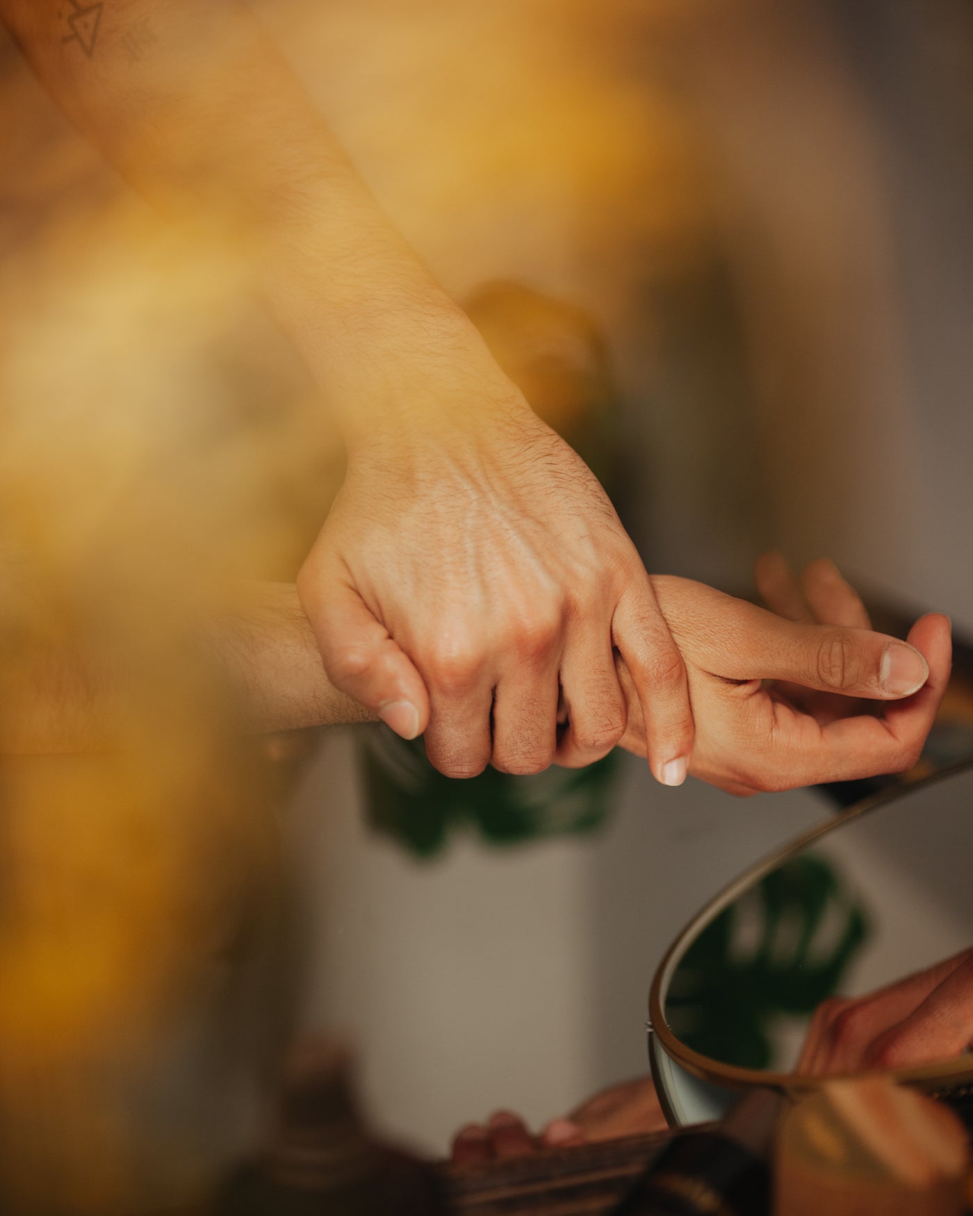 Beau Domaine by Brad Pitt & Famille Perrin