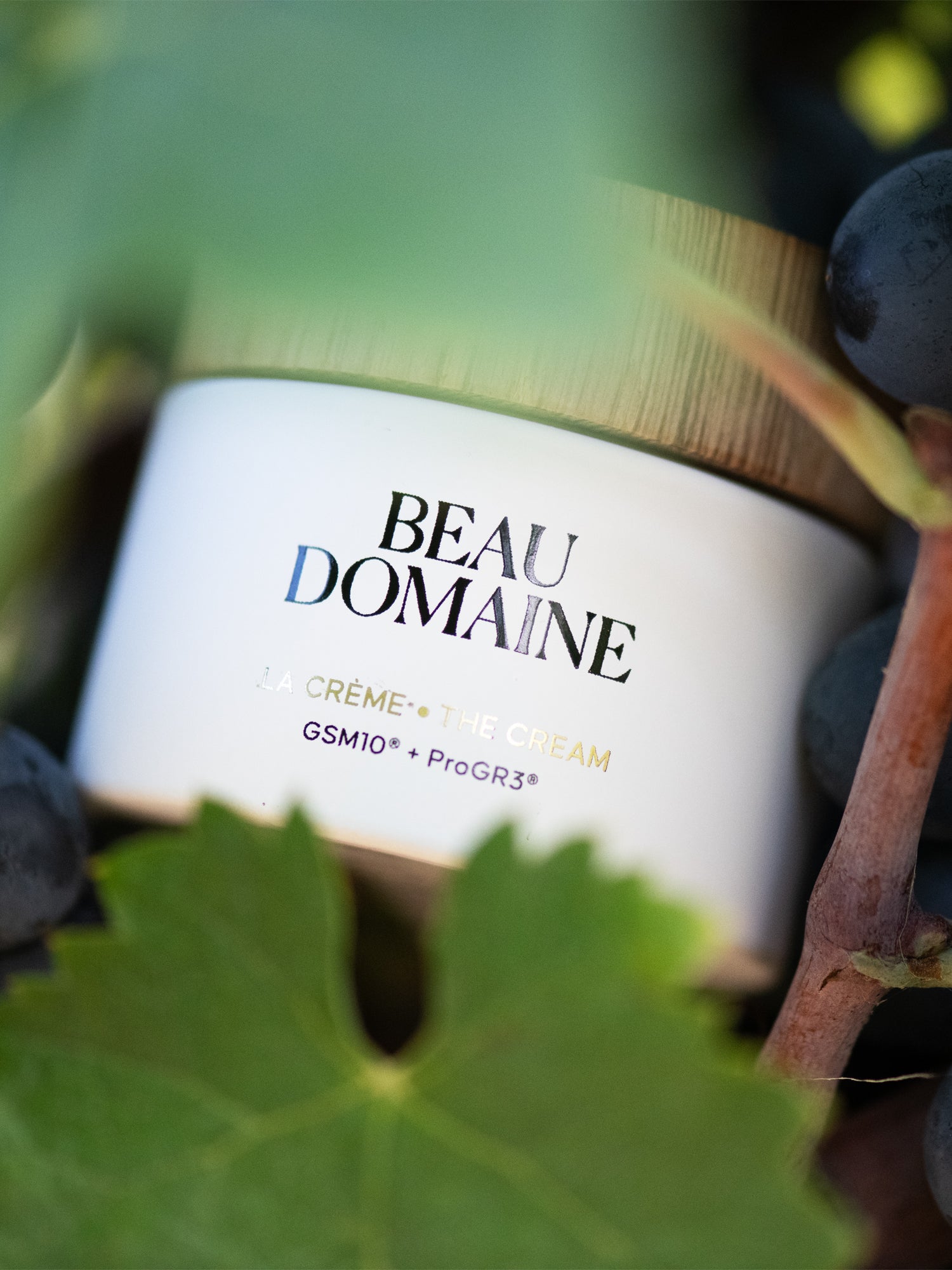 Luxurious moisturizer - Beau Domaine Skincare – Beau Domaine by