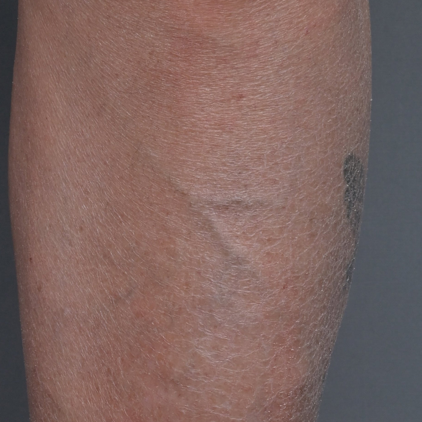 Beau Domaine by Brad Pitt & Famille Perrin