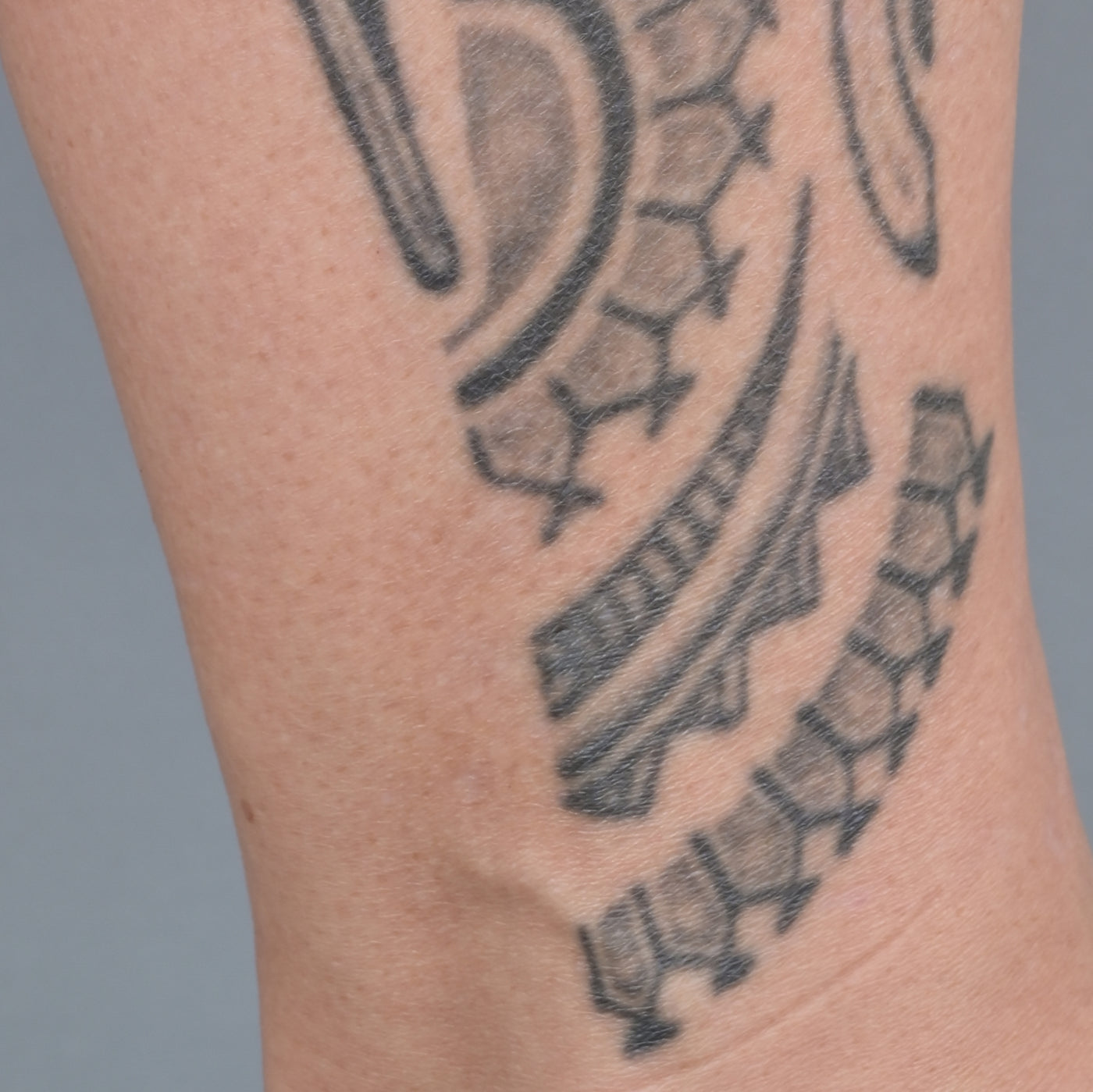 Beau Domaine by Brad Pitt & Famille Perrin