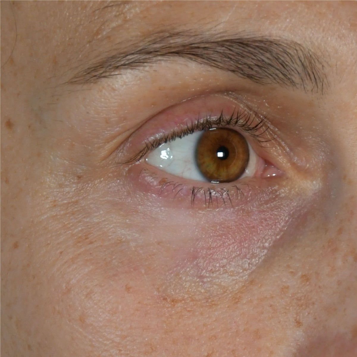 Beau Domaine by Brad Pitt & Famille Perrin