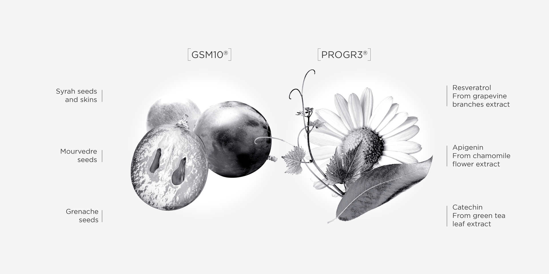 Luxury face Cream Anti aging radiance face cream Beau Domaine Skincare