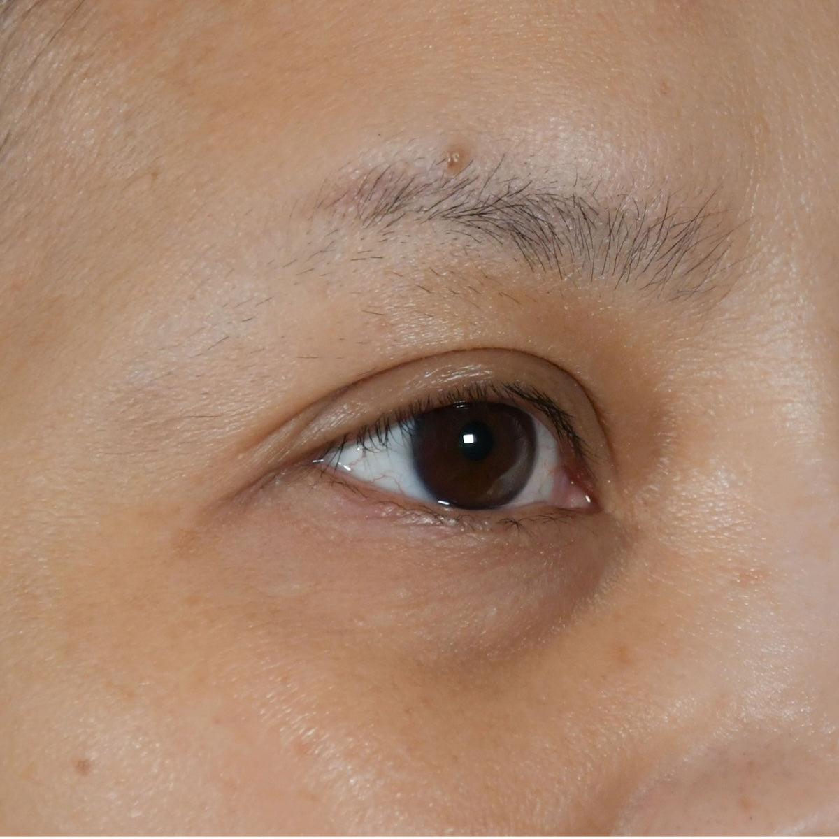 Beau Domaine by Brad Pitt & Famille Perrin